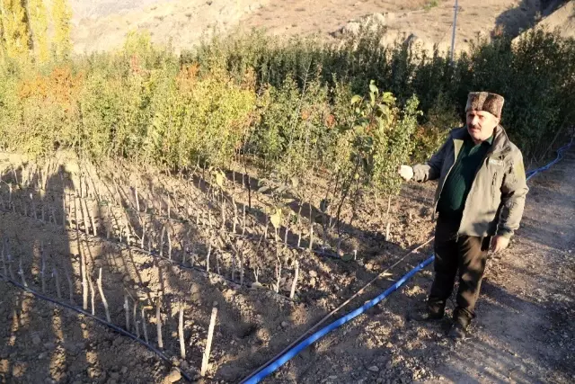 Sular altında kalacak 151 yıllık ilçenin yeni yerleşim yeri için 30 bin meyve fidanı koruma altına... Sular altında kalacak 151 yıllık ilçenin yeni yerleşim yeri için 30 bin meyve fidanı koruma altına...