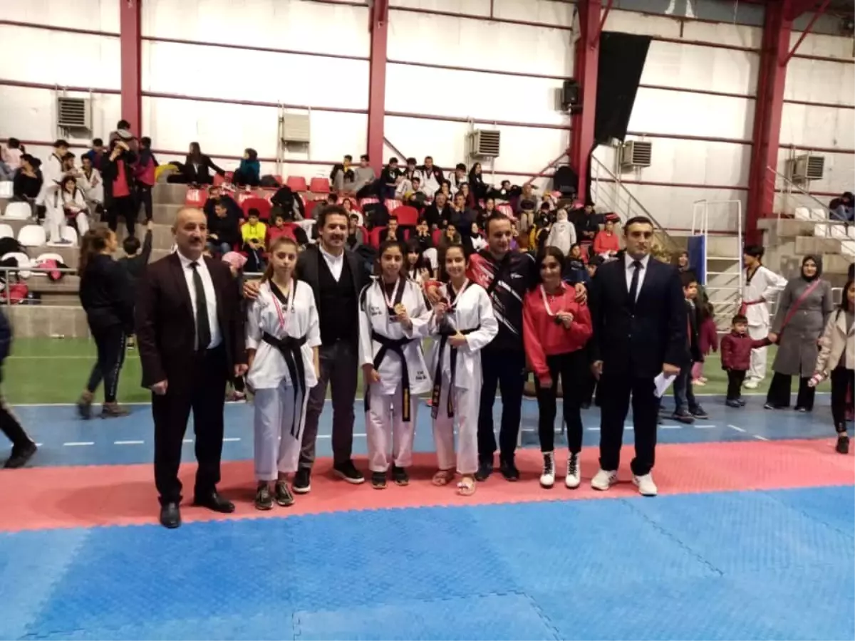 Van'da tekvando müsabakaları sona erdi