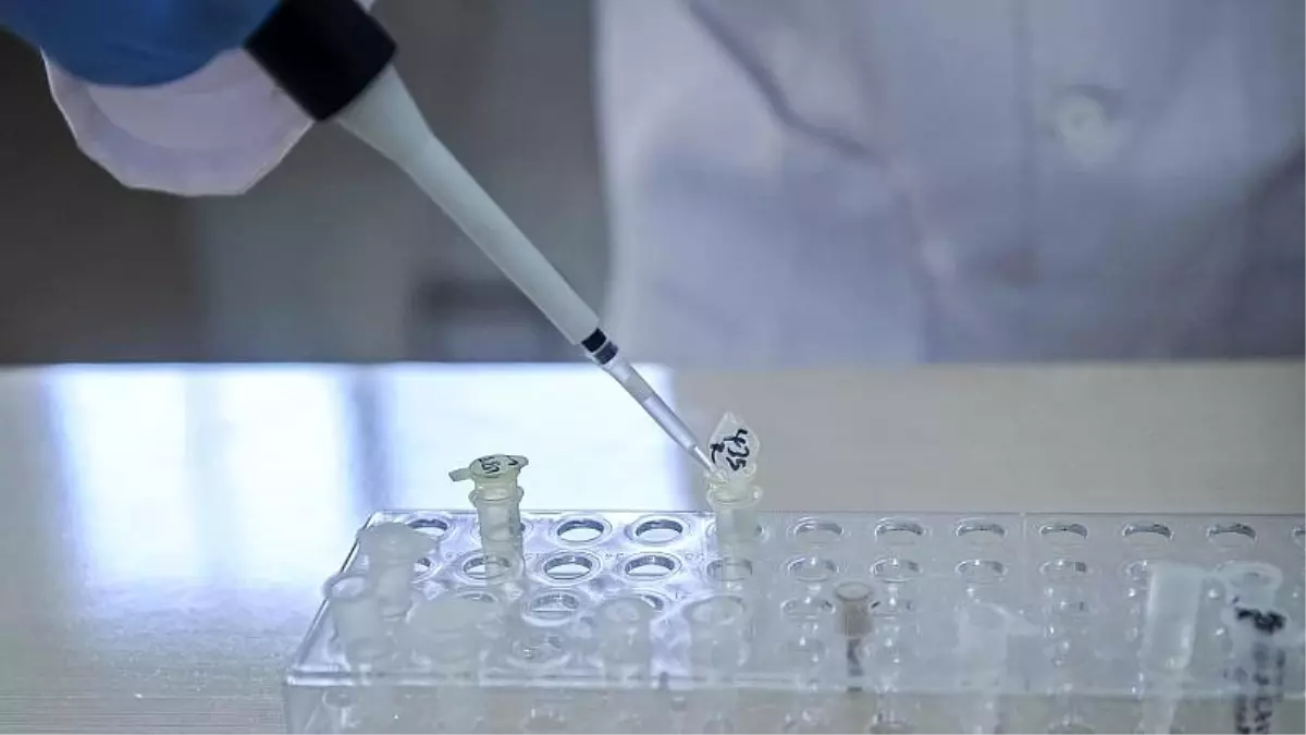 ABD'li bilim insanlarından bebeklerin geniyle oynayan Çinli biyofizikçiye tepki; başarısız ve yalan