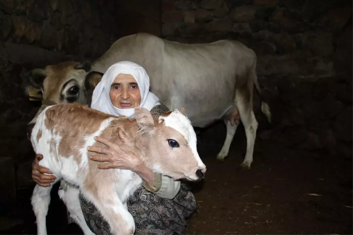 Cemile teyzenin mutluluk fotoğrafı