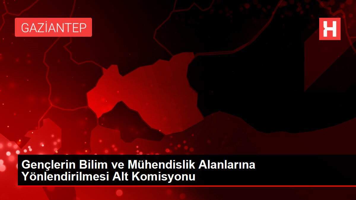 Gençlerin Bilim ve Mühendislik Alanlarına Yönlendirilmesi Alt Komisyonu