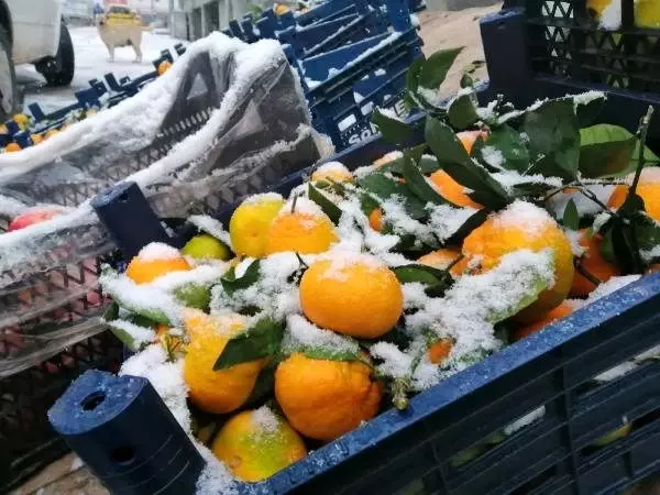 İmranlı'da kar yağışı etkili oldu İmranlı'da kar yağışı etkili oldu