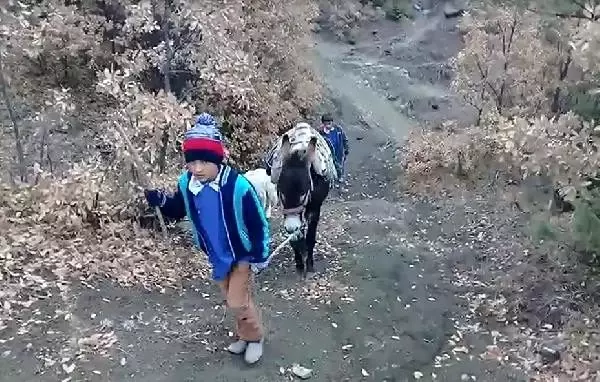 Kardeşlerin zorlu okul yolculuğu