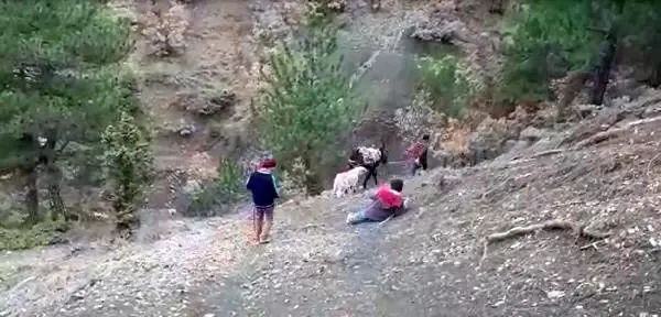 Kardeşlerin zorlu okul yolculuğu
