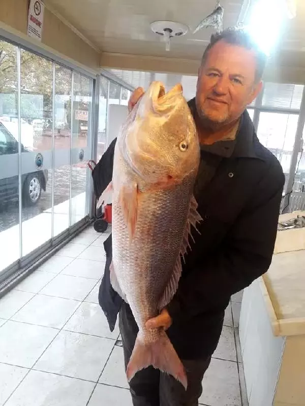 Oltayla 9 kilo 100 gramlık sinarit yakaladı