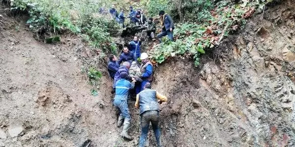 Ormanlık alana yuvarlanan traktörün sürücüsü öldü