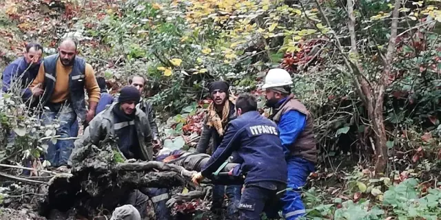 Traktör 300 metre uçuruma yuvarlandı: 1 ölü