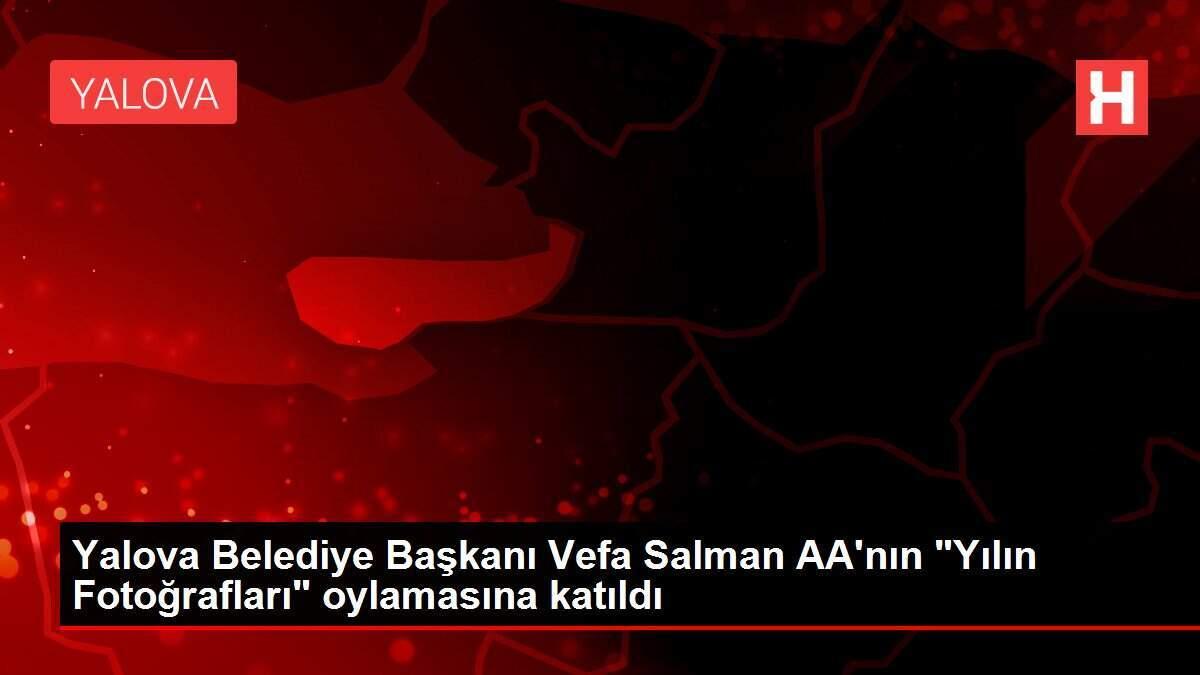 Yalova Belediye Başkanı Vefa Salman AA'nın