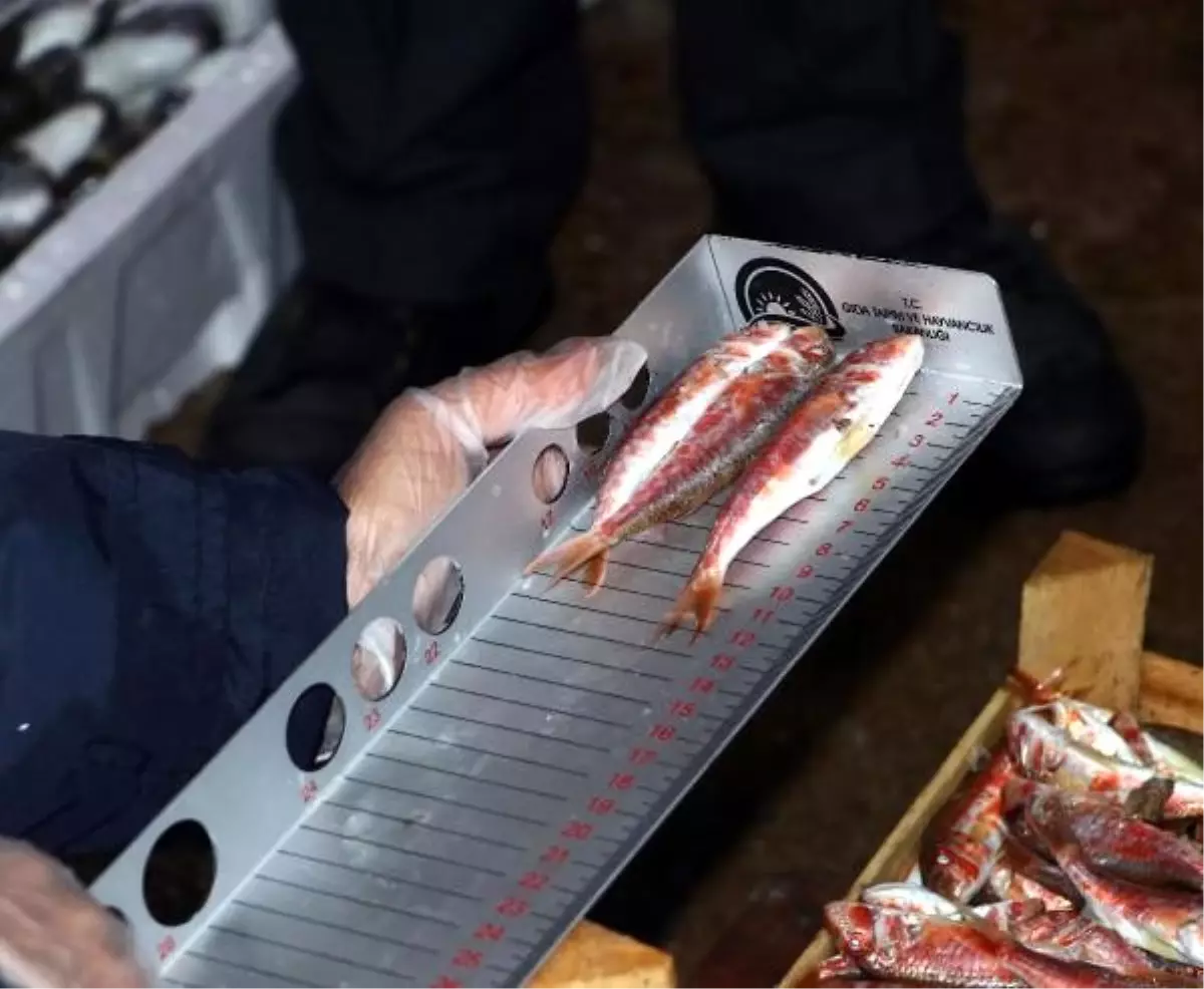 Ankara'da balık boyu denetimi