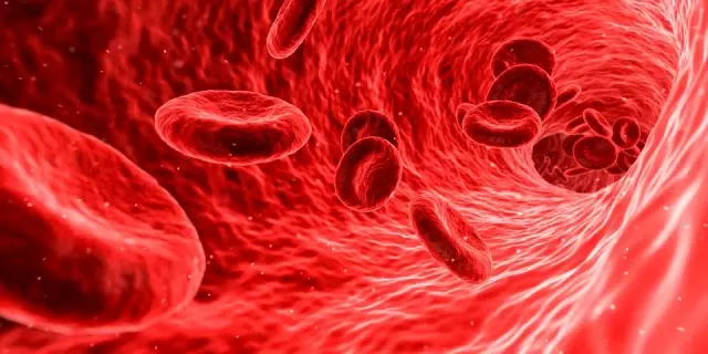 HGB nedir? HGB ne demek? Hemoglobin nedir? HGB değeri nedir?