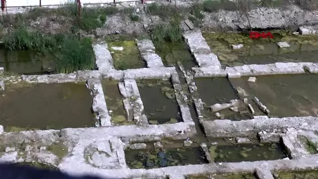 İzmir yosun tutan tarih sonunda kurtulacak-arşiv İzmir yosun tutan tarih sonunda kurtulacak-arşiv