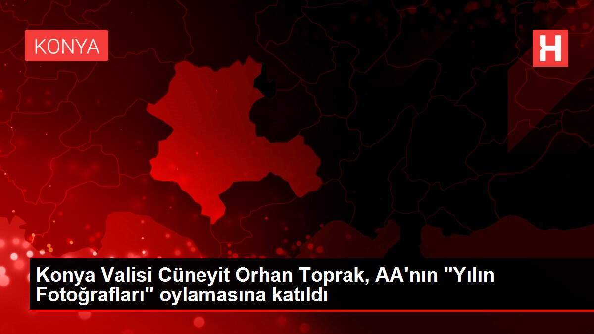 Konya Valisi Cüneyit Orhan Toprak, AA'nın 'Yılın Fotoğrafları' oylamasına katıldı
