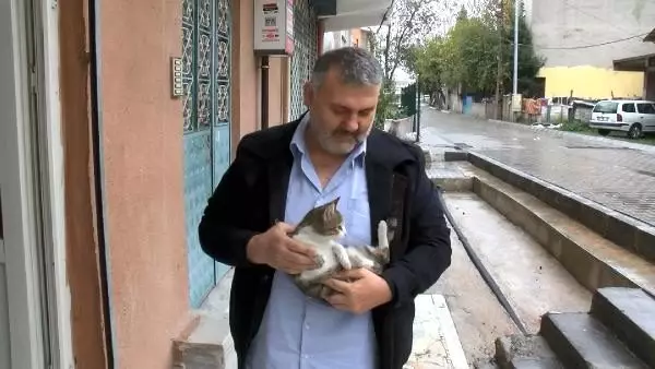 Vicdansız sürücü yavru kediyi ezip kaçtı Vicdansız sürücü yavru kediyi ezip kaçtı