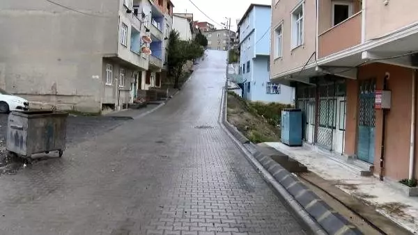 Vicdansız sürücü yavru kediyi ezip kaçtı Vicdansız sürücü yavru kediyi ezip kaçtı