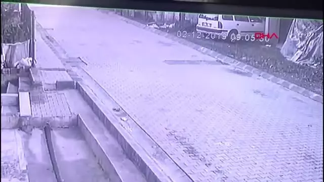 Vicdansız sürücü yavru kediyi ezip kaçtı Vicdansız sürücü yavru kediyi ezip kaçtı