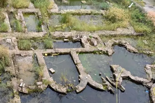 Yosun tutan tarih sonunda kurtulacak Yosun tutan tarih sonunda kurtulacak