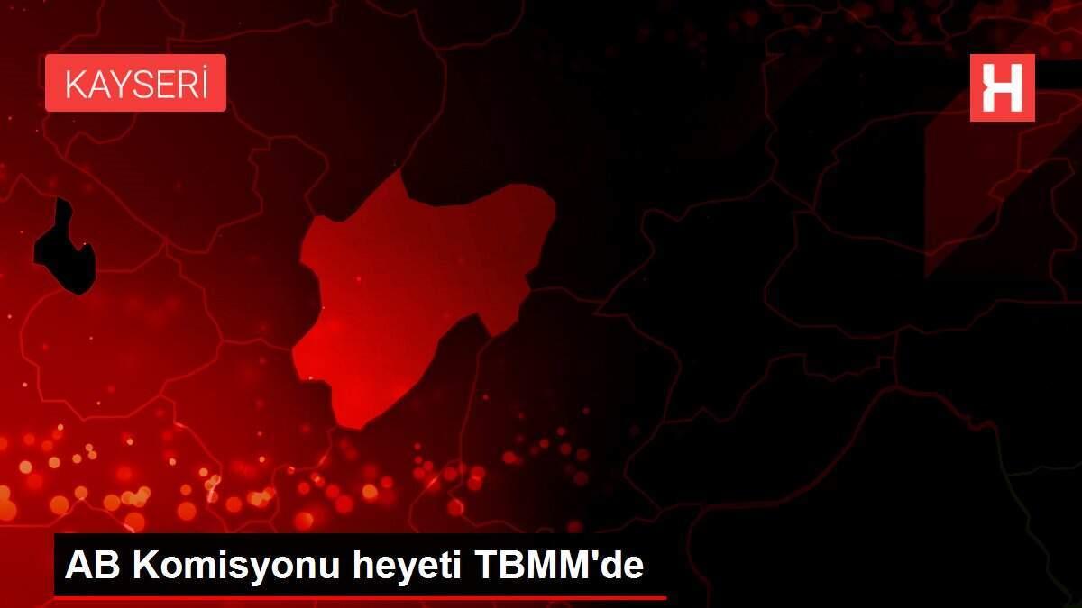 AB Komisyonu heyeti TBMM'de