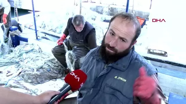 Adana balon balıkları kızıldeniz'e kaçtı