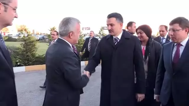 Bakan Pakdemirli: 'Tarımsal ovalarımıza tek bir çivi dahi çaktırmayacağız' Bakan Pakdemirli: 'Tarımsal ovalarımıza tek bir çivi dahi çaktırmayacağız'