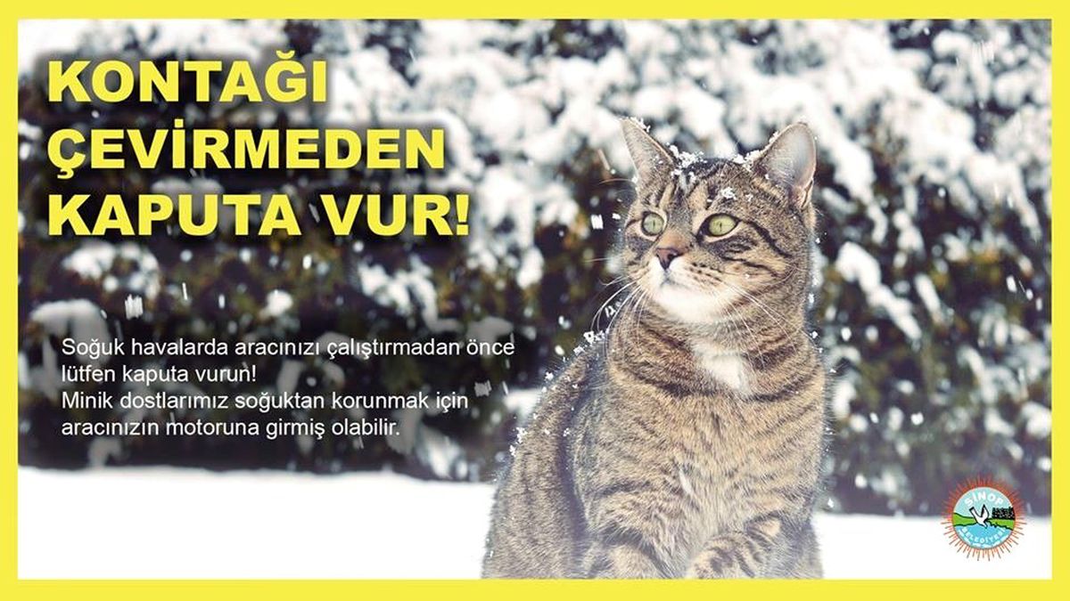 Belediyeden 'Kontağı çevirmeden önce kaputa vur' çağrısı