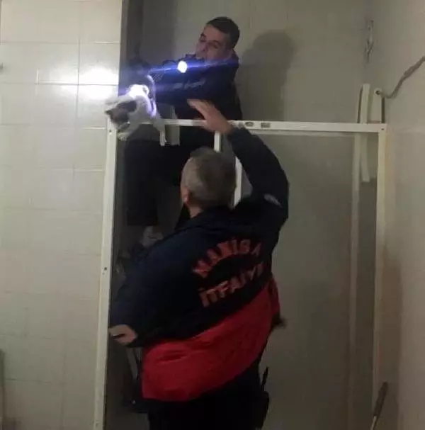 Havalandırma boşluğuna düşen kedi kurtarıldı Havalandırma boşluğuna düşen kedi kurtarıldı
