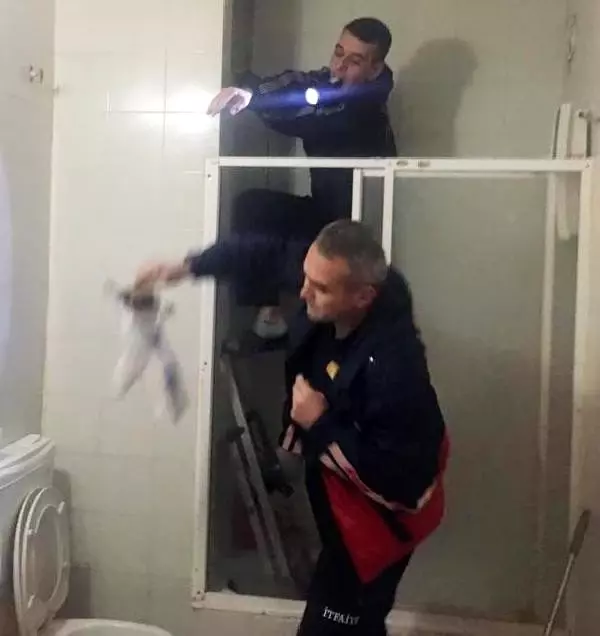 Havalandırma boşluğuna düşen kedi kurtarıldı Havalandırma boşluğuna düşen kedi kurtarıldı