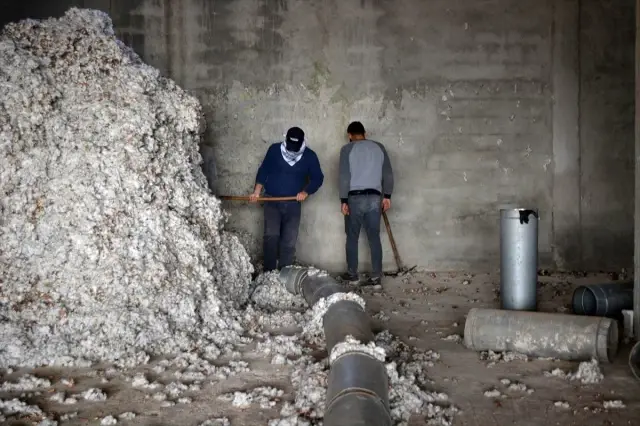 Ürettiği pamuk için fabrika kurdu şimdi bölgenin pamuğunu işliyor