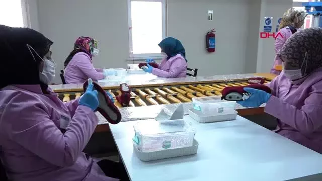 Van-gevaş'ta 300 kişinin istihdam edildiği fabrika törenle açıldı Van-gevaş'ta 300 kişinin istihdam edildiği fabrika törenle açıldı