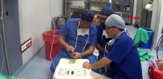Antalya-cerrahlar böbrek nakil operasyonlarını canlı yayında izledi