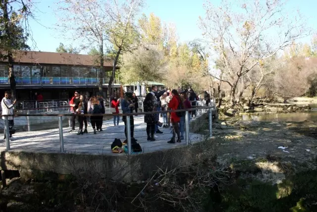 Bir günü bir gününü tutmayan Manavgat şelalesi ziyaretçilerine hayal kırıklığı yaşatıyor Bir günü bir gününü tutmayan Manavgat şelalesi ziyaretçilerine hayal kırıklığı yaşatıyor