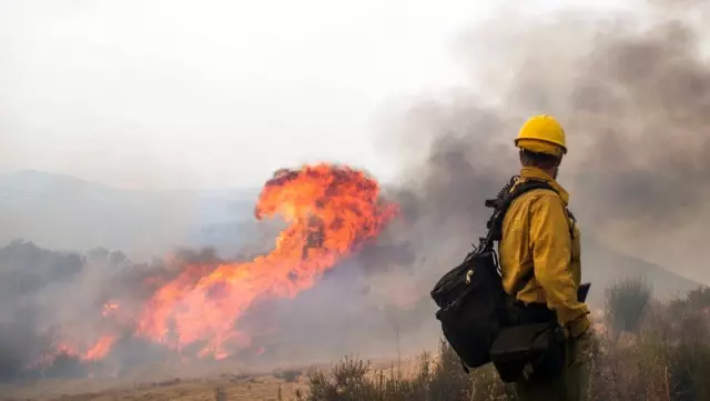 California orman yangınları: Pasifik Gaz ve Elektrik şirketi zarar görenlere 13,5 milyar dolar...