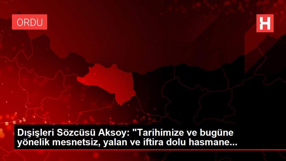 Dışişleri Sözcüsü Aksoy: