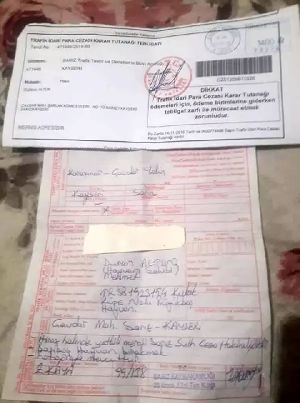 Karayoluna çıkan ineğin sahibine 108 lira para cezası verildi Karayoluna çıkan ineğin sahibine 108 lira para cezası verildi