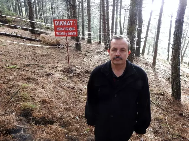Spil Dağı'nda oluşan obruğun çevresi kapatılıyor