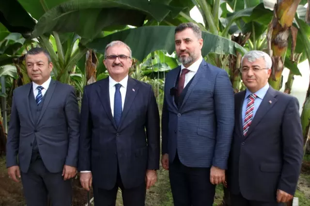 Antalya Valisi Münir Karaloğlu: 'Antalya 2 yıl sonra Türkiye'nin en büyük muz üreticisi haline... Antalya Valisi Münir Karaloğlu: 'Antalya 2 yıl sonra Türkiye'nin en büyük muz üreticisi haline...