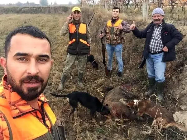 Avcılar ölüme terk edilen 3 köpeği kurtardı