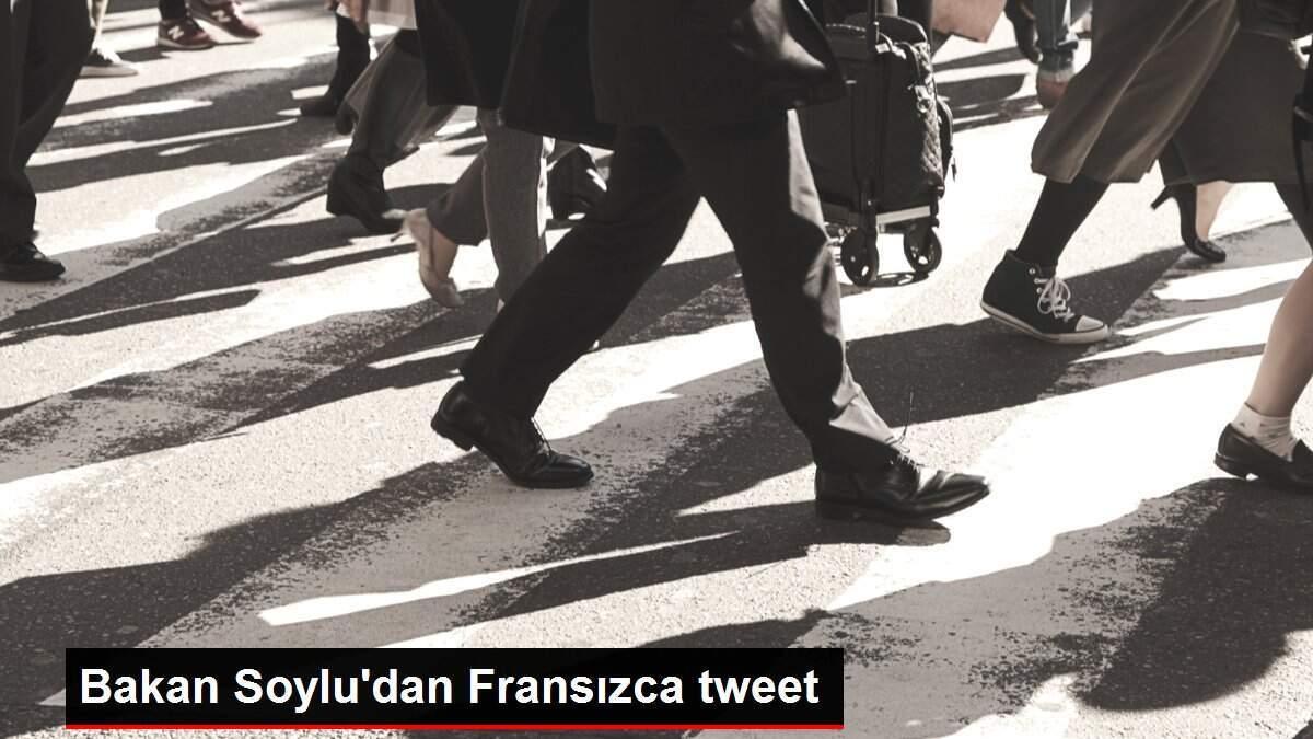 Bakan Soylu'dan Fransızca tweet