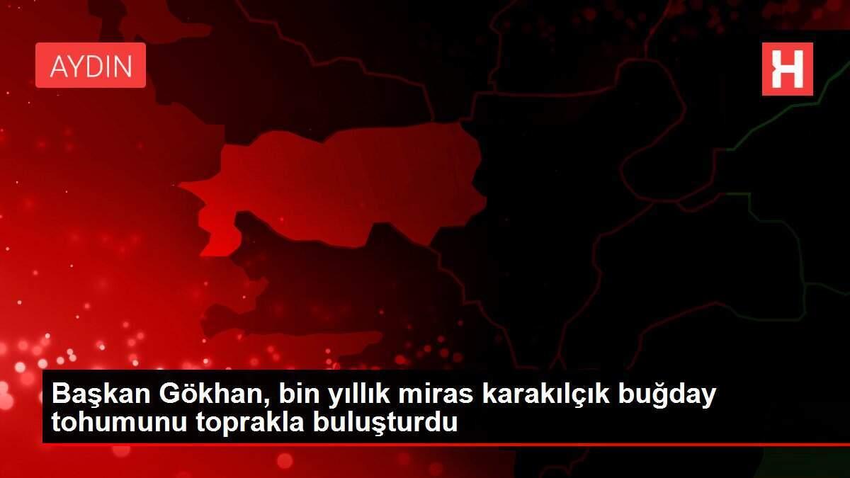 Başkan Gökhan, bin yıllık miras karakılçık buğday tohumunu toprakla buluşturdu