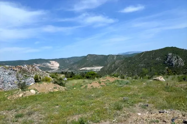 Bilecik'te atık sahası yeşillendirilecek