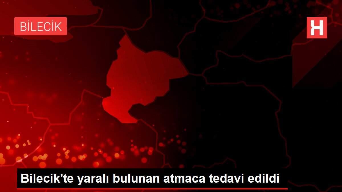 Bilecik'te yaralı bulunan atmaca tedavi edildi