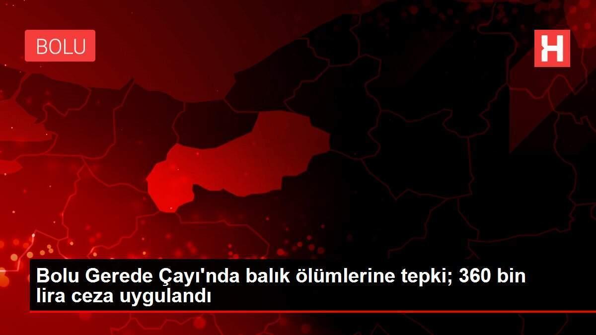 Bolu Gerede Çayı'nda balık ölümlerine tepki; 360 bin lira ceza uygulandı