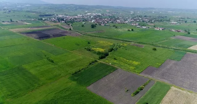 Bursa, Yalova ve Kocaeli'de 123 bin 150 dekar alanda toplulaştırma yapıldı