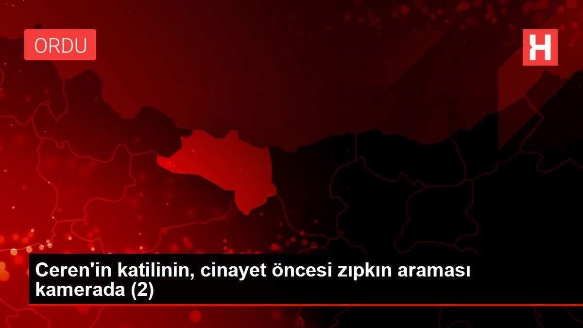 Ceren'in katilinin, cinayet öncesi zıpkın araması kamerada (2)