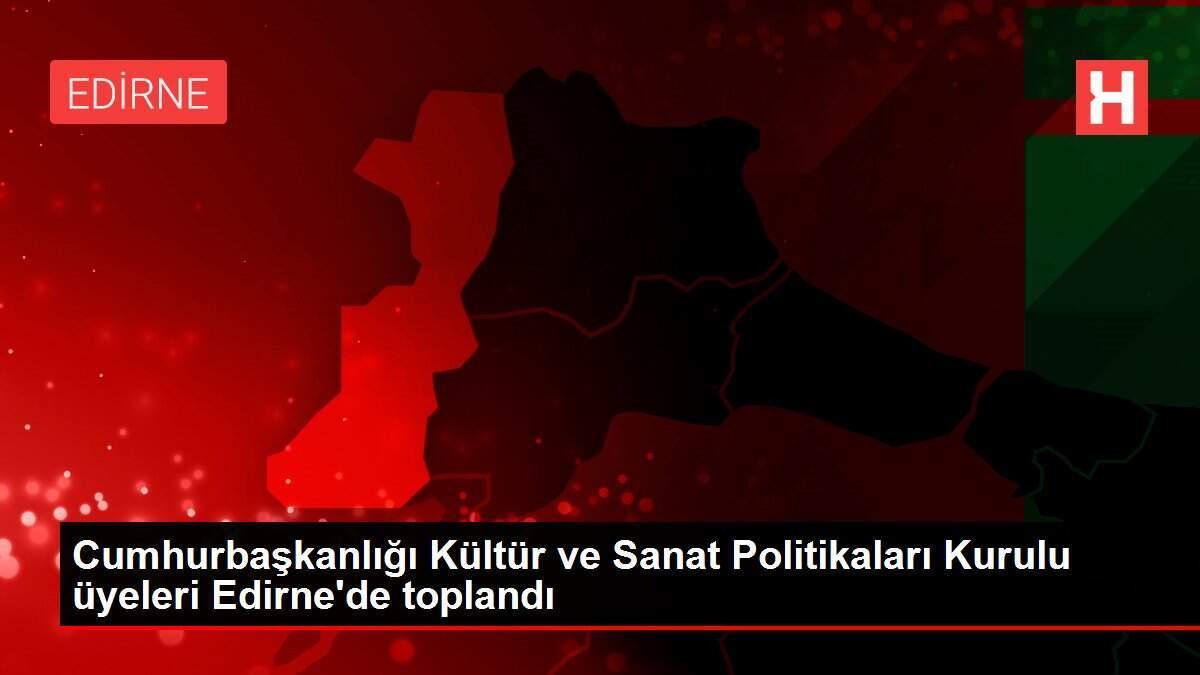 Cumhurbaşkanlığı Kültür ve Sanat Politikaları Kurulu üyeleri Edirne'de toplandı