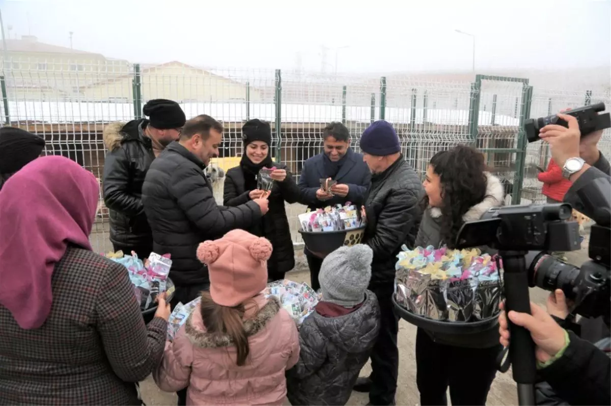 Doğum gününü sokak hayvanları ile kutladı