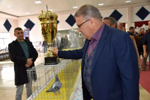 Güvercin severleri buluşturan fuar Güvercin severleri buluşturan fuar