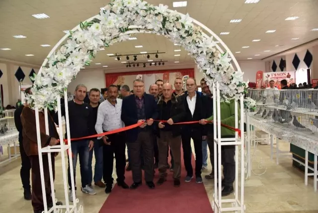 Güvercin severleri buluşturan fuar Güvercin severleri buluşturan fuar