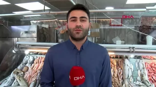 Torik ve tombik balığını palamut diye satıp vatandaşı kandırıyorlar Torik ve tombik balığını palamut diye satıp vatandaşı kandırıyorlar