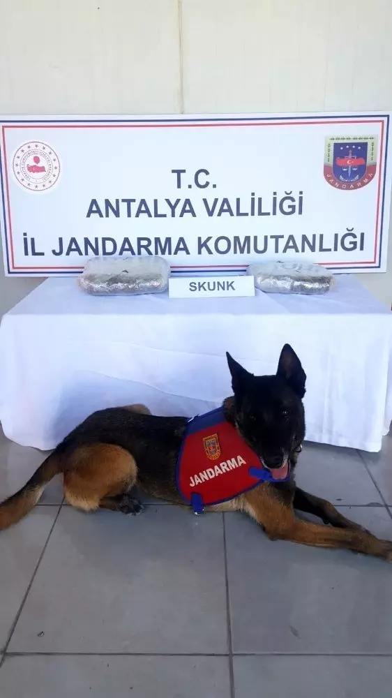 Kazakların içine sakladığı 150 bin TL değerinde uyuşturucuyla otobüste yakalandı