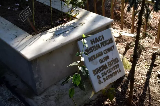 Manisa'da kimliği belirsiz kişiler, mezar taşları ve çeşmeleri kırdı Manisa'da kimliği belirsiz kişiler, mezar taşları ve çeşmeleri kırdı